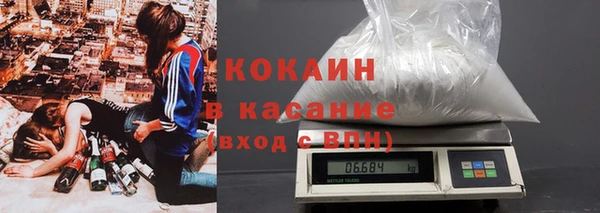 амф Ельня