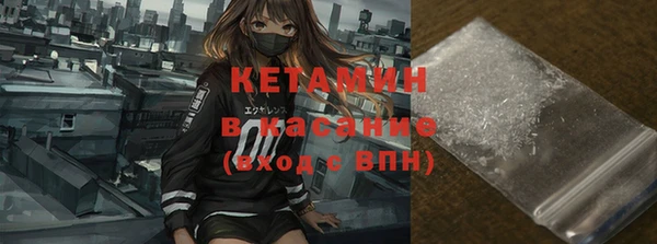 амф Ельня