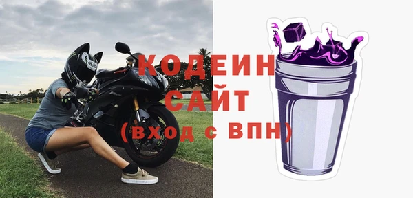амф Ельня