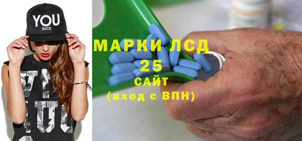 амф Ельня