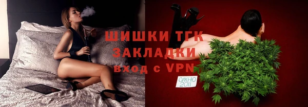 амф Ельня