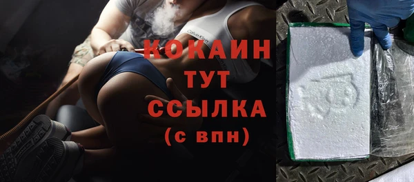 амф Ельня