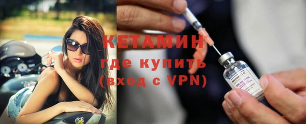 амф Ельня
