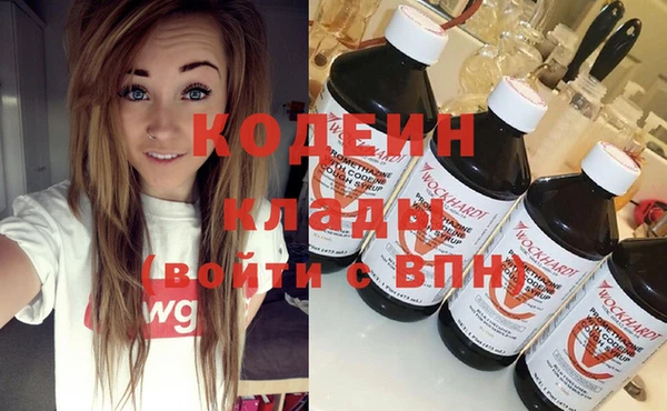 амф Ельня