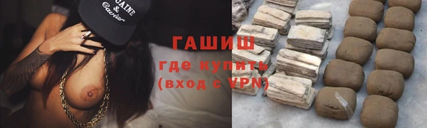 амф Ельня