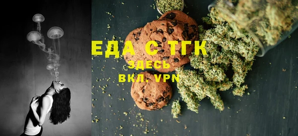 амф Ельня