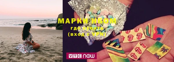 амф Ельня