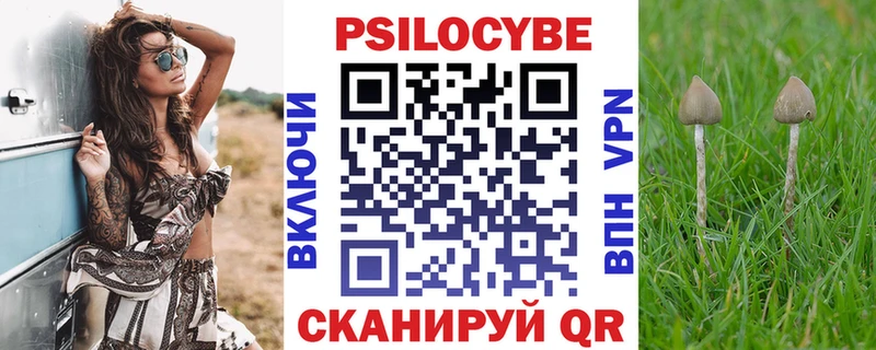 Псилоцибиновые грибы мухоморы  Купить  Юрьевец 